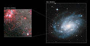 NGC 300 X-1 in the spiral galaxy NGC 300