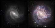 An infrared/visible comparison view of Messier 83