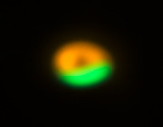 Imagen obtenida por ALMA y VLT de la factoría de cometas en torno a Oph-IRS 48