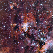Primo piano della Nebulosa Gambero