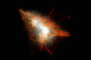 Simulation numérique d’un Globule Lyman-alpha Cette image offre un instantané d’une simulation cosmologique d’un Globule Lyman-alpha semblable à LAB-1. Cette simulation retrace l’évolution du gaz et de la matière noire prédite par l’un des derniers modèle