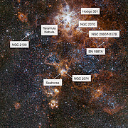 La rica región alrededor de la nebulosa de la Tarántula en la Gran Nube de Magallanes (con anotaciones)
