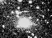 Gravitational lens in EMSS 2137–23