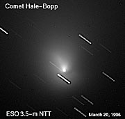 The near-nucleus region of comet Hale-Bopp