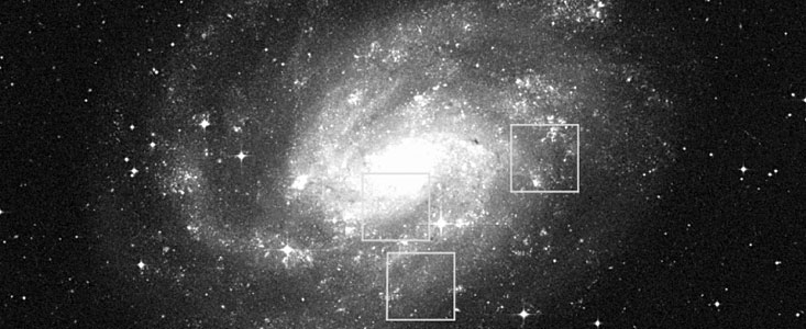 Observed fields in NGC 300