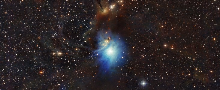 Jonge ster doet reflectienevel IC 2631 oplichten