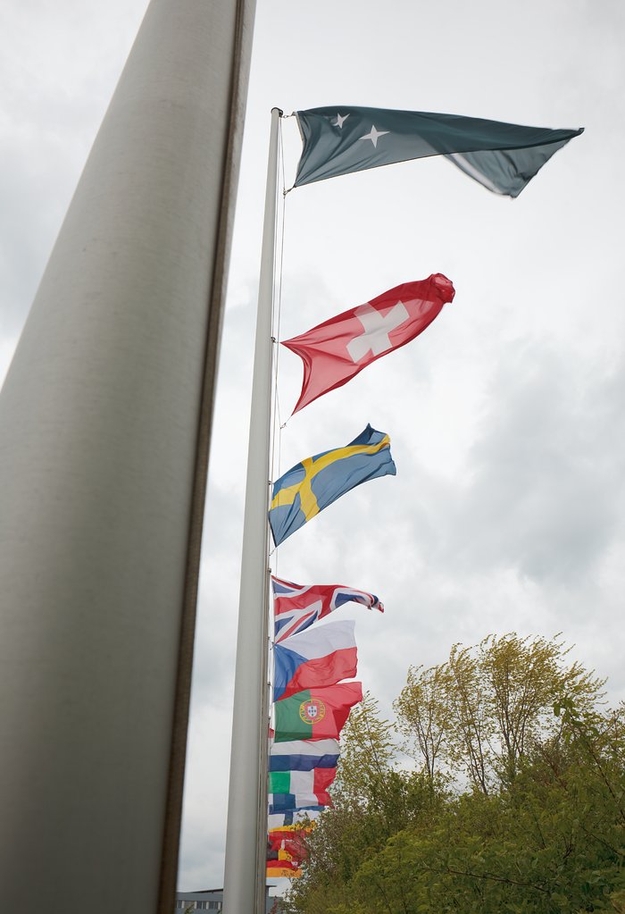 ESO flags