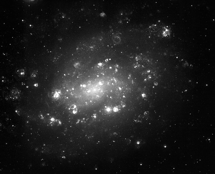 Spiral galaxy NGC 300 (H-alpha band)
