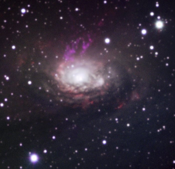 La galaxia Circinus