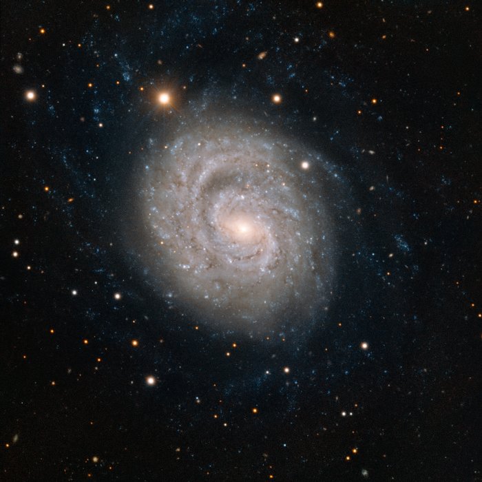 Spiral galaxy NGC 1637