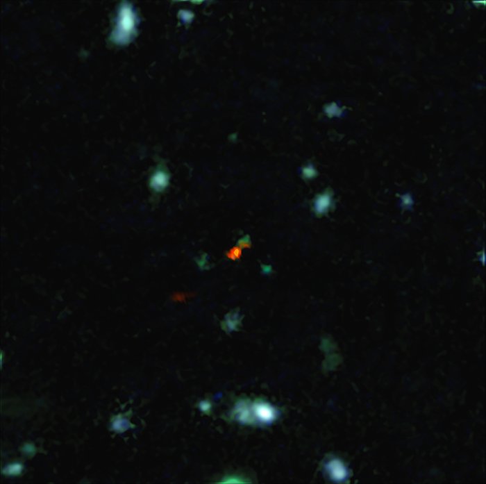 ALMA bevittnar en galax som bildas i det unga universum