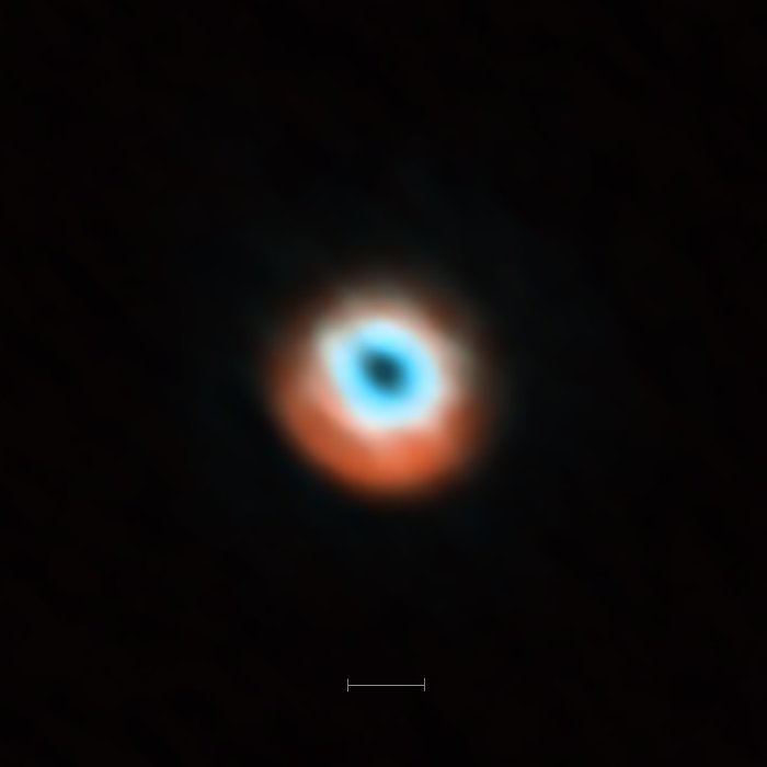 Immagine di ALMA del disco di transizione di HD 135344B