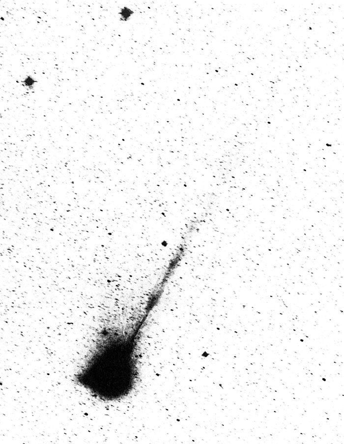 La lunga coda di ioni della cometa Wilson