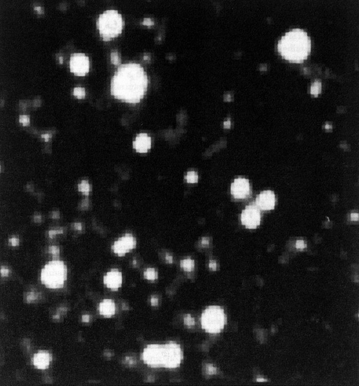 Ammasso globulare Centauri osservato con il NTT dell’ESO