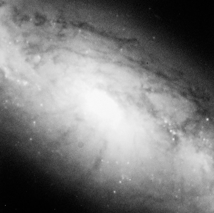 La galassia NGC 1808