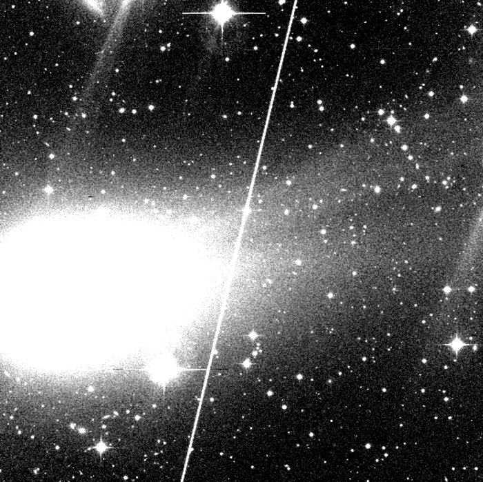 La cometa Hyakutake sviluppa due code
