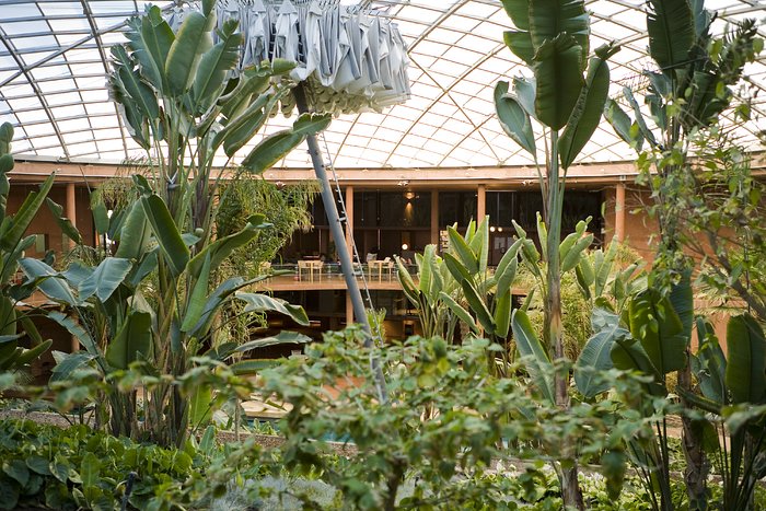 Tropical garden, residencia, Paranal