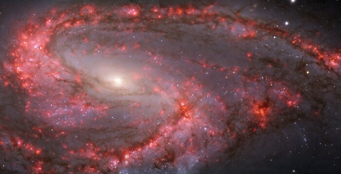 Warm gas clouds and stars in NGC 3627 mapped with MUSE on ESO’s VLT
