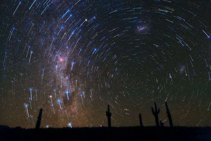 Star trails over Atacama Desert Cacti