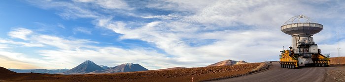 El leviatán de Atacama