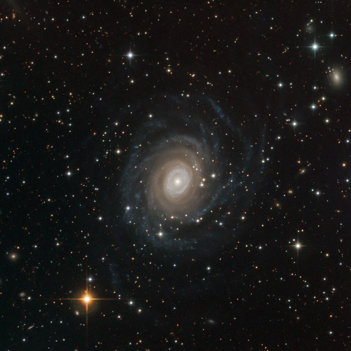 NGC 6902 capturada pelo SPECULOOS