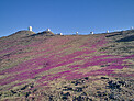 Sleeping beauty awakens in La Silla