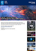 ESO — ALMA avslöjar en stjärnfabriks inre nät — Photo Release eso1809sv