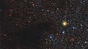 Närbild på den mörka nebulosan LDN 483