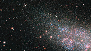 The WLM galaxy on the edge of the Local Group