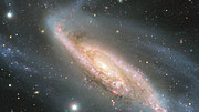 Panning across NGC 3981