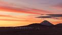 Technicolour sunset over ALMA