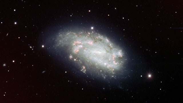 The supernova SN2005df in NGC 1559