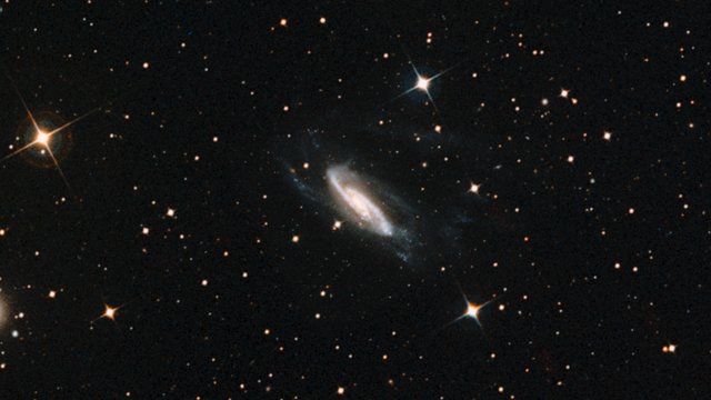 VideoZoom: Galaxie NGC 3981