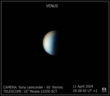 Colourful Venus