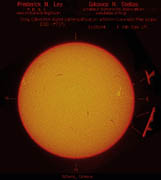 The Sun's Chromosphere