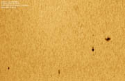 Sunspots during the Venus Transit