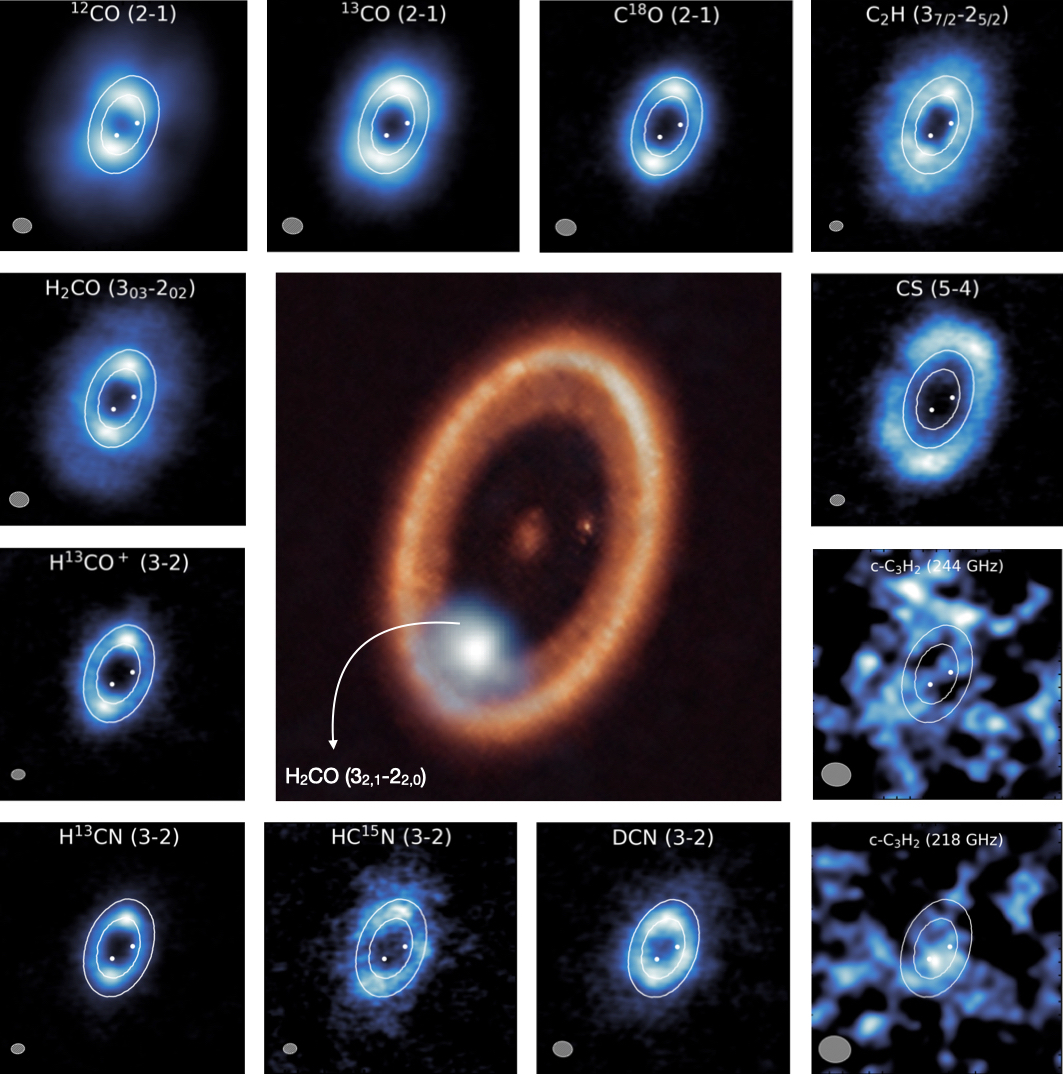 Left panel (a): Integrated ALMA CO(1-0) flux map of the velocity channels between 400<v<680 km s-1, showing the position of the cold-molecular AGN-driven outflow relative to the AGN position (white cross) and the AGN-jet (seen in VLBI 1266 MHz continuum imaging; blue contours) at the position of the primary nucleus of F13451+1232. Right panel (b): CO(1-0) line profile extracted from the aperture that covers the outflow in the ALMA observations (shown as a dashed black ellipse in the left panel) - the part of the line profile that is taken to represent a cold-molecular gas outflow is shaded in yellow.